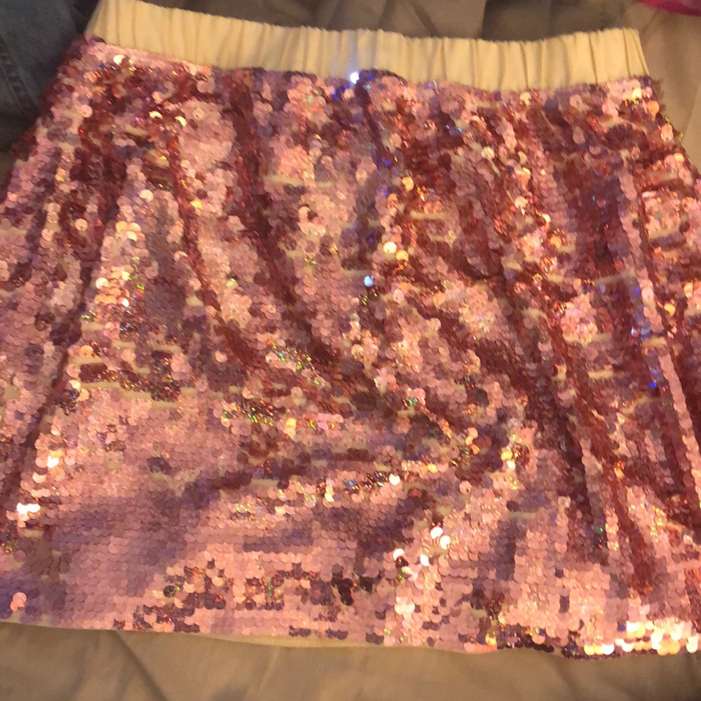 Jcrew limited edition sequins skirt